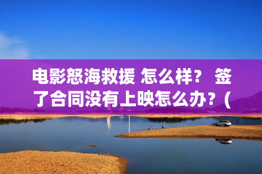 电影怒海救援 怎么样？ 签了合同没有上映怎么办？(电影怒海救援)