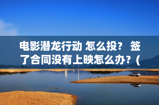 电影潜龙行动 怎么投？ 签了合同没有上映怎么办？(电影潜龙行动免费观看)