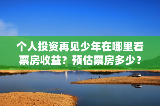 个人投资再见少年在哪里看票房收益？预估票房多少？回(你认为个人投资需要什么条件?)