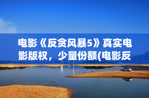 电影《反贪风暴5》真实电影版权，少量份额(电影反贪风暴3(普通话)在线观看)