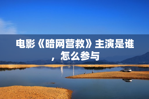 电影《暗网营救》主演是谁，怎么参与