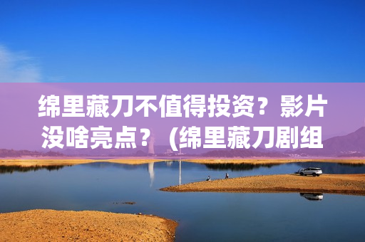 绵里藏刀不值得投资？影片没啥亮点？ (绵里藏刀剧组)