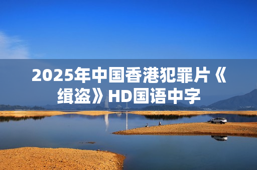 2025年中国香港犯罪片《缉盗》HD国语中字
