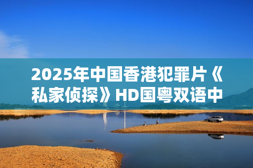 2025年中国香港犯罪片《私家侦探》HD国粤双语中英双字
