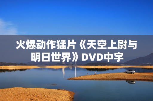 火爆动作猛片《天空上尉与明日世界》DVD中字