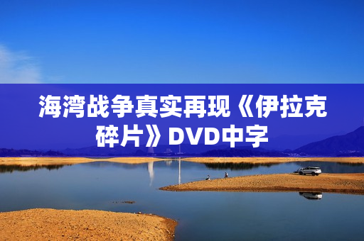 海湾战争真实再现《伊拉克碎片》DVD中字