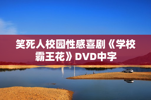笑死人校园性感喜剧《学校霸王花》DVD中字