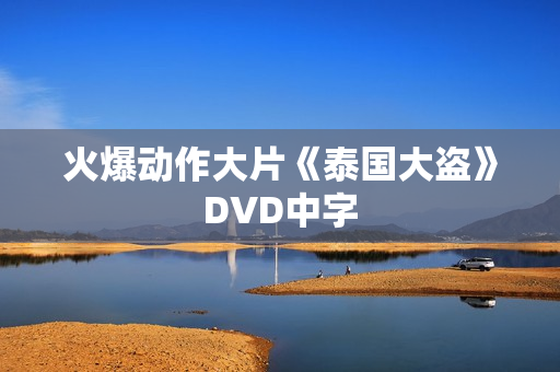 火爆动作大片《泰国大盗》DVD中字