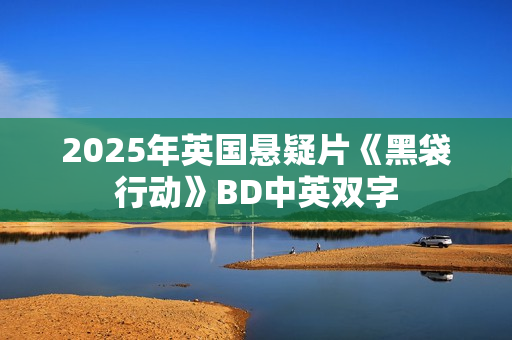 2025年英国悬疑片《黑袋行动》BD中英双字