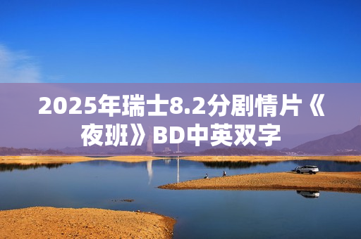 2025年瑞士8.2分剧情片《夜班》BD中英双字