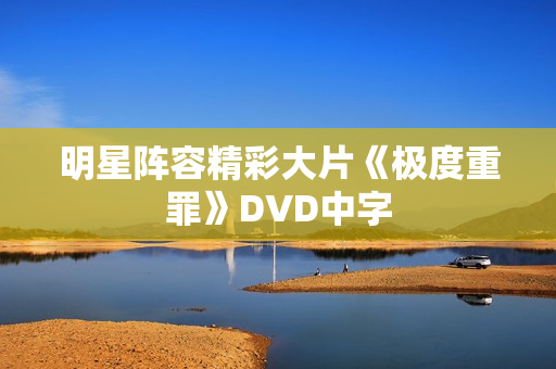 明星阵容精彩大片《极度重罪》DVD中字