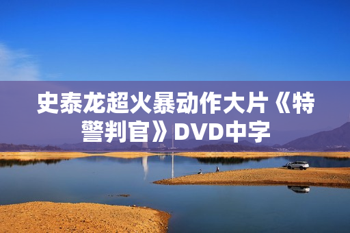 史泰龙超火暴动作大片《特警判官》DVD中字