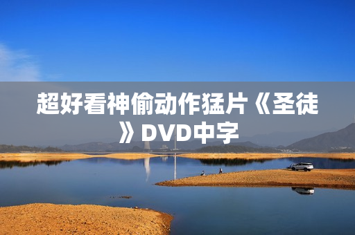 超好看神偷动作猛片《圣徒》DVD中字