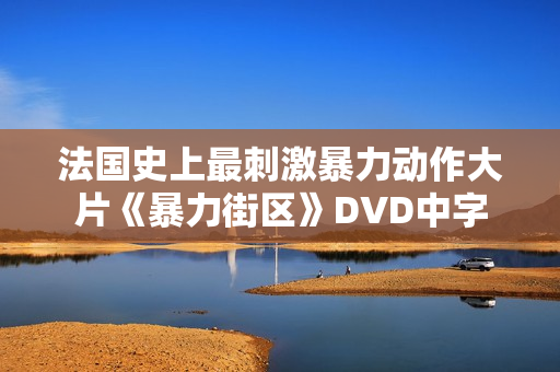 法国史上最刺激暴力动作大片《暴力街区》DVD中字