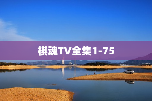 棋魂TV全集1-75
