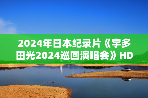 2024年日本纪录片《宇多田光2024巡回演唱会》HD日语中字