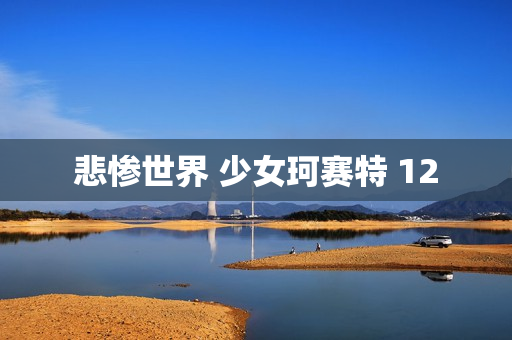 悲惨世界 少女珂赛特 12