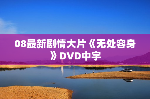 08最新剧情大片《无处容身》DVD中字