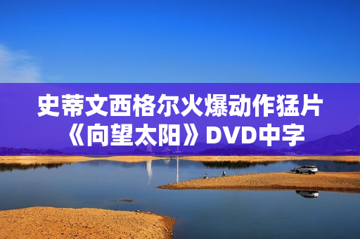 史蒂文西格尔火爆动作猛片《向望太阳》DVD中字