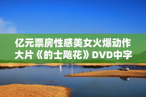 亿元票房性感美女火爆动作大片《的士飚花》DVD中字