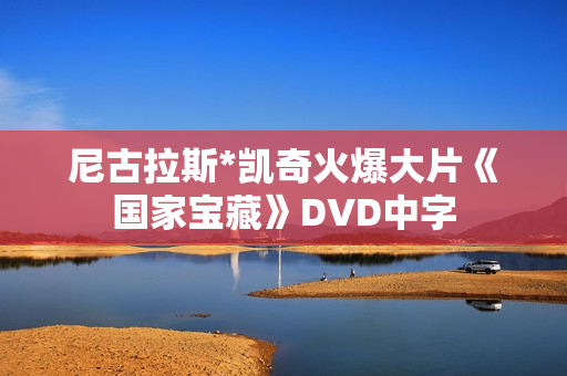 尼古拉斯*凯奇火爆大片《国家宝藏》DVD中字