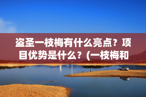 盗圣一枝梅有什么亮点？项目优势是什么？(一枝梅和逆贼)
