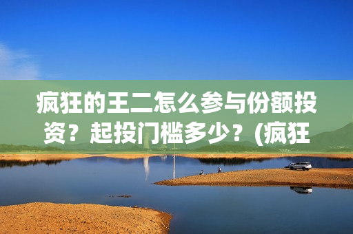 疯狂的王二怎么参与份额投资？起投门槛多少？(疯狂的王二怎么下载安装)