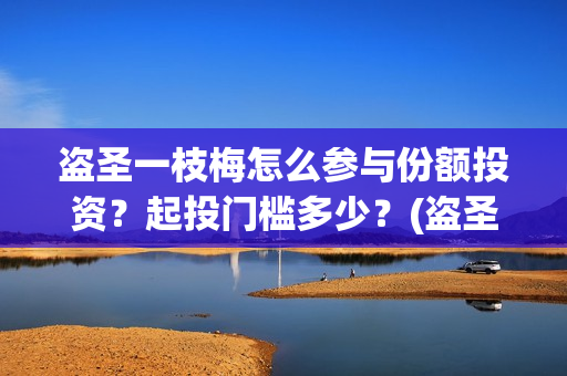 盗圣一枝梅怎么参与份额投资？起投门槛多少？(盗圣一枝梅演员)
