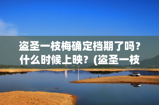 盗圣一枝梅确定档期了吗？什么时候上映？(盗圣一枝梅演员)