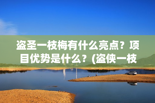 盗圣一枝梅有什么亮点？项目优势是什么？(盗侠一枝梅)