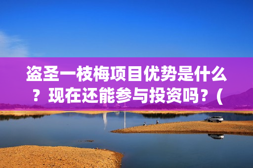 盗圣一枝梅项目优势是什么？现在还能参与投资吗？(盗侠一枝梅)