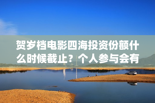 贺岁档电影四海投资份额什么时候截止？个人参与会有分红保障吗？(电影四海海报)