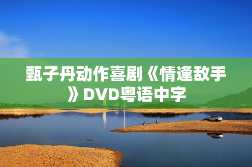 甄子丹动作喜剧《情逢敌手》DVD粤语中字