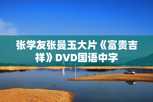 张学友张曼玉大片《富贵吉祥》DVD国语中字
