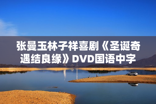 张曼玉林子祥喜剧《圣诞奇遇结良缘》DVD国语中字