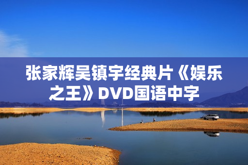 张家辉吴镇宇经典片《娱乐之王》DVD国语中字