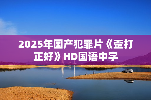 2025年国产犯罪片《歪打正好》HD国语中字