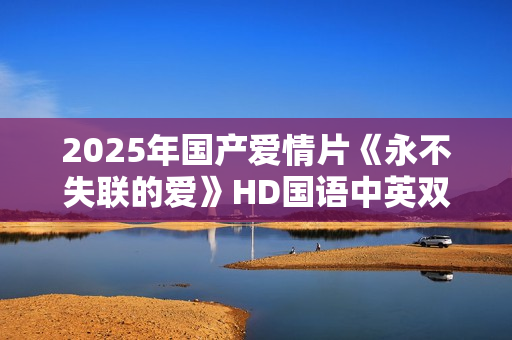 2025年国产爱情片《永不失联的爱》HD国语中英双字