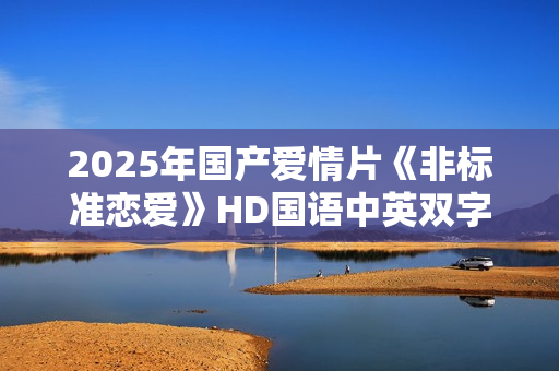 2025年国产爱情片《非标准恋爱》HD国语中英双字