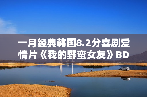 一月经典韩国8.2分喜剧爱情片《我的野蛮女友》BD双语中字