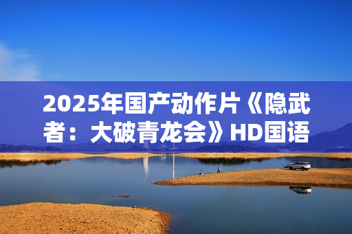 2025年国产动作片《隐武者：大破青龙会》HD国语中字