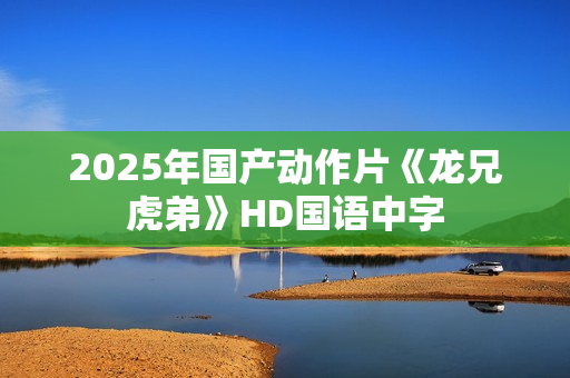 2025年国产动作片《龙兄虎弟》HD国语中字