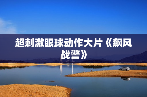 超刺激眼球动作大片《飙风战警》