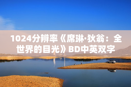 1024分辨率《席琳·狄翁：全世界的目光》BD中英双字无水印