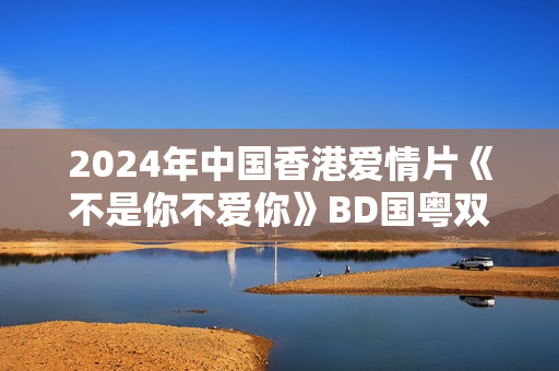 2024年中国香港爱情片《不是你不爱你》BD国粤双语中字