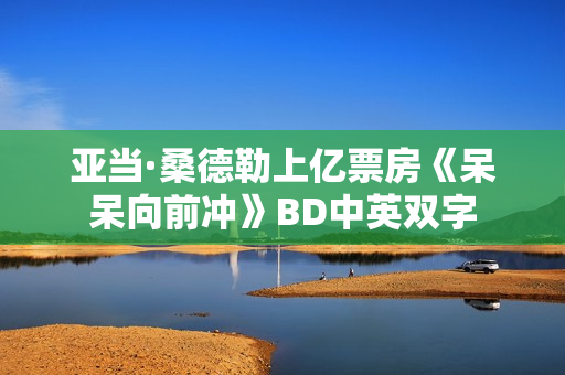 亚当·桑德勒上亿票房《呆呆向前冲》BD中英双字