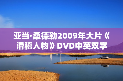 亚当·桑德勒2009年大片《滑稽人物》DVD中英双字