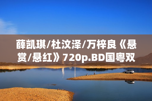薛凯琪/杜汶泽/万梓良《悬赏/悬红》720p.BD国粤双语中字