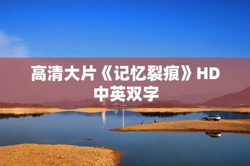 高清大片《记忆裂痕》HD中英双字