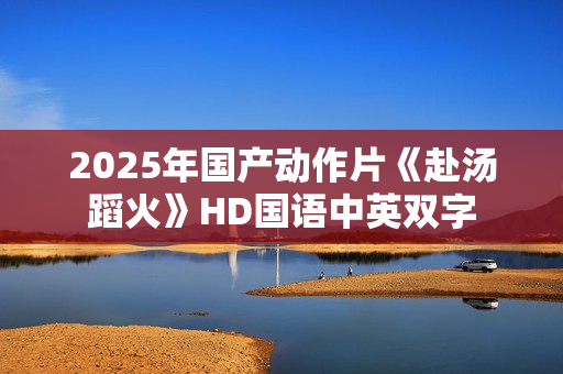 2025年国产动作片《赴汤蹈火》HD国语中英双字